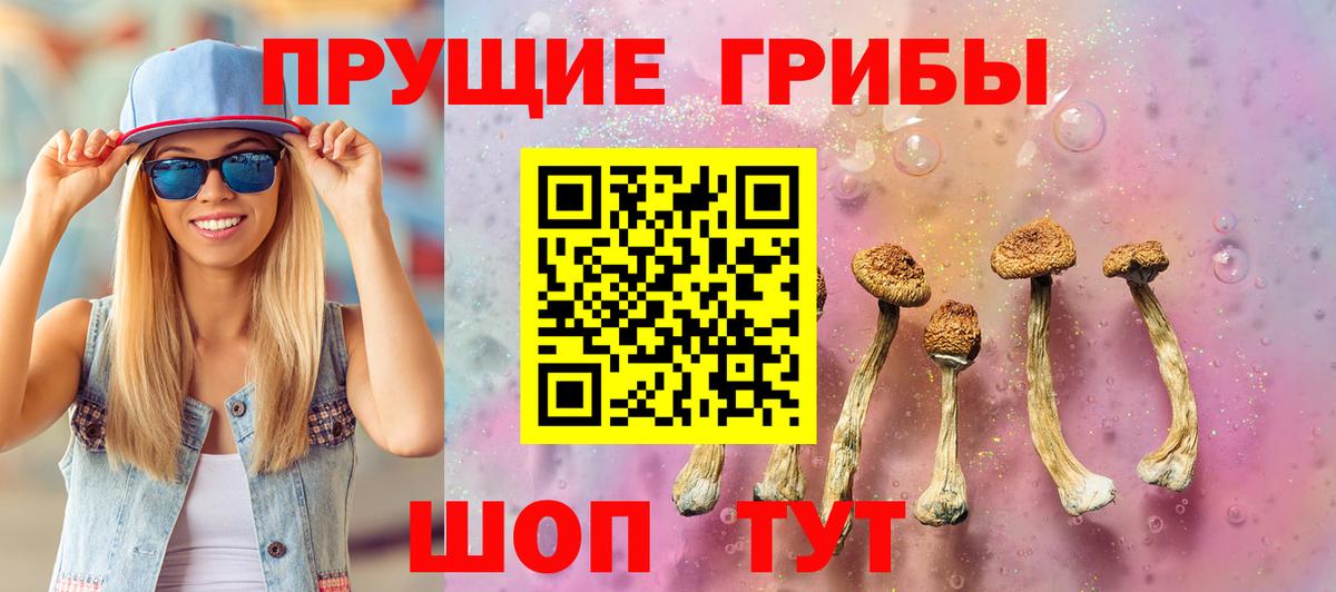 Галлюциногенные грибы Magic Shrooms  Псилоцибиновые грибы мухоморы  Вход с VPN  как найти закладки  Подольск 