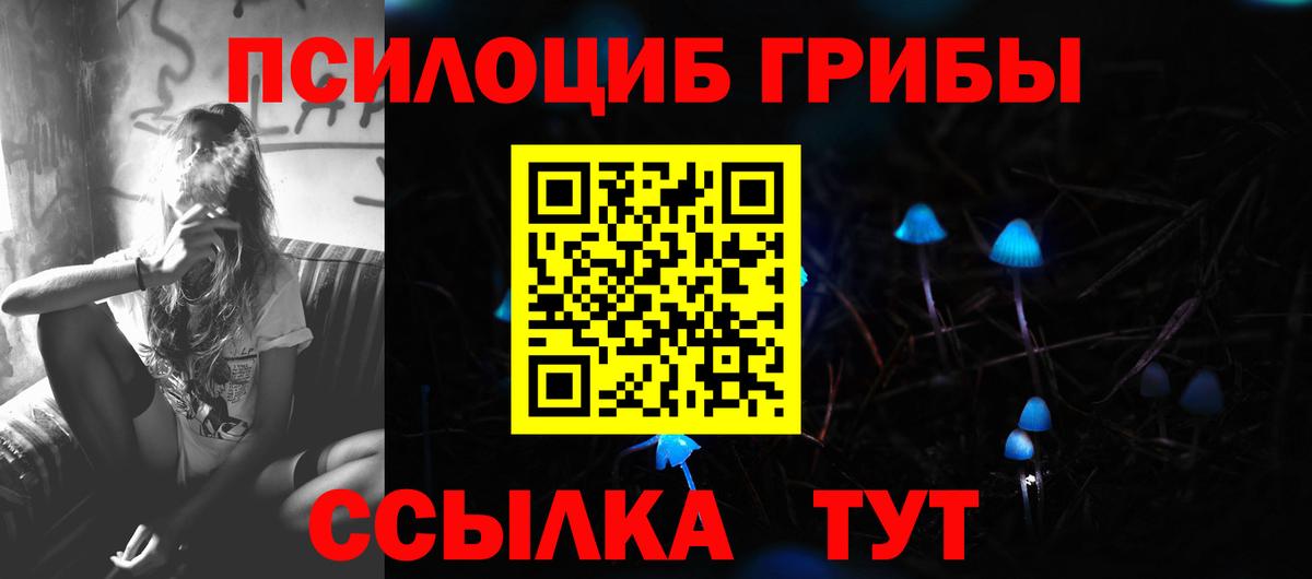 Галлюциногенные грибы GOLDEN TEACHER Подольск